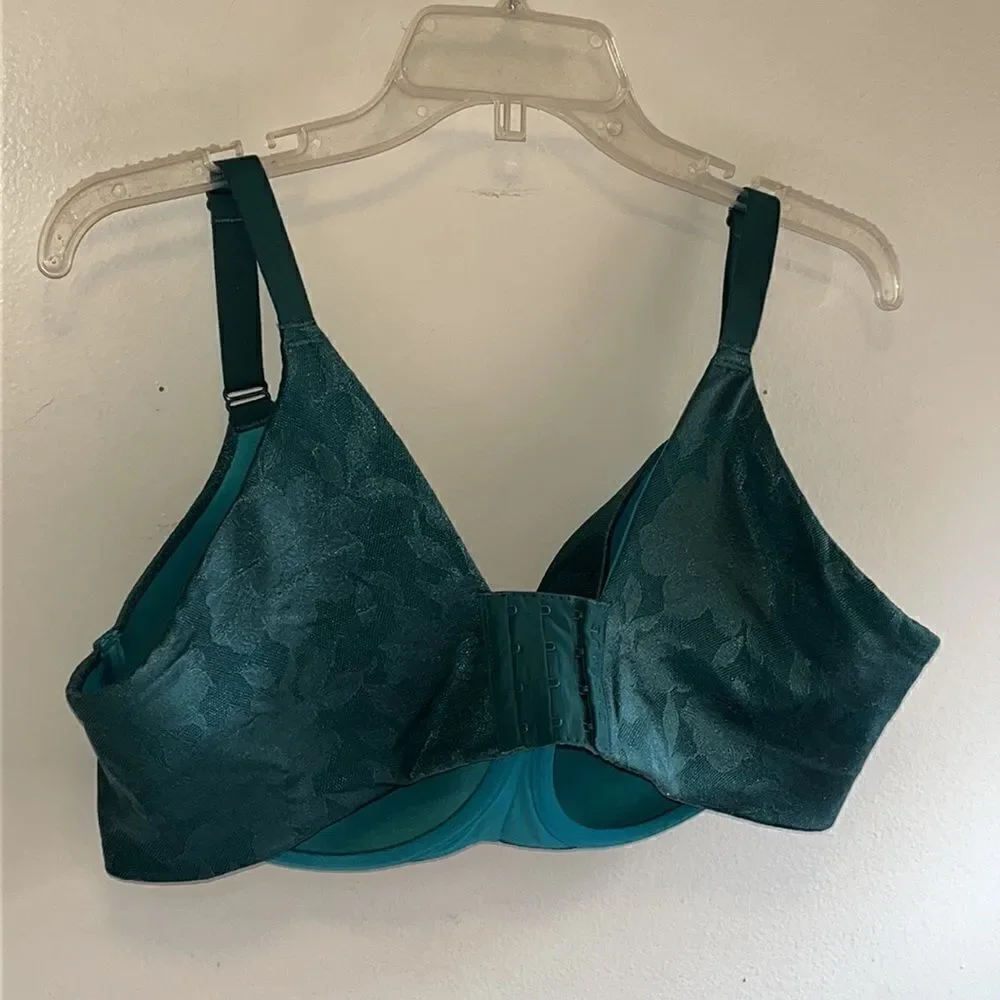 Cacique color quetzal